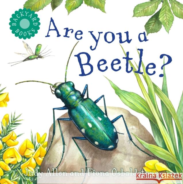 Are You a Beetle? Judy Allen 9780753474914 Kingfisher - książka