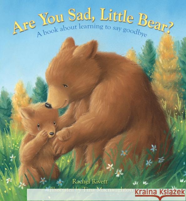 Are You Sad, Little Bear?: A Book about Learning to Say Goodbye Rachel Rivett Tina Macnaughton 9780745978932 Lion Children's Books - książka