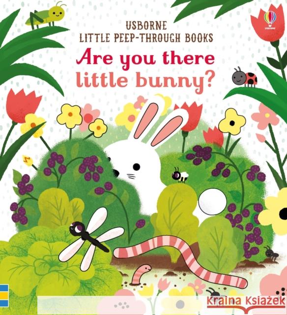 Are you there little Bunny Taplin, Sam 9781474945547 Usborne Publishing Ltd - książka