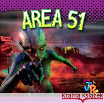 Area 51 Marysa Storm 9781623104429 Bolt Jr. - książka