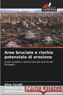 Aree bruciate e rischio potenziale di erosione Cavalli, Aline, de Figueiredo, Tomás, Fonseca, Felícia 9786206806936 Edizioni Sapienza - książka