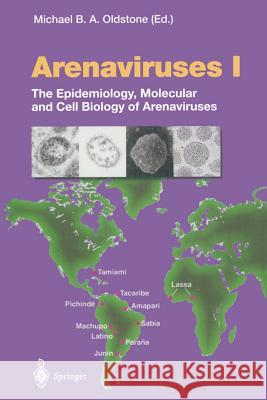 Arenaviruses I: The Epidemiology, Molecular and Cell Biology of Arenaviruses Oldstone, M. B. a. 9783642626722 Springer - książka