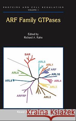 Arf Family Gtpases Kahn, Richard A. 9781402017193 Kluwer Academic Publishers - książka