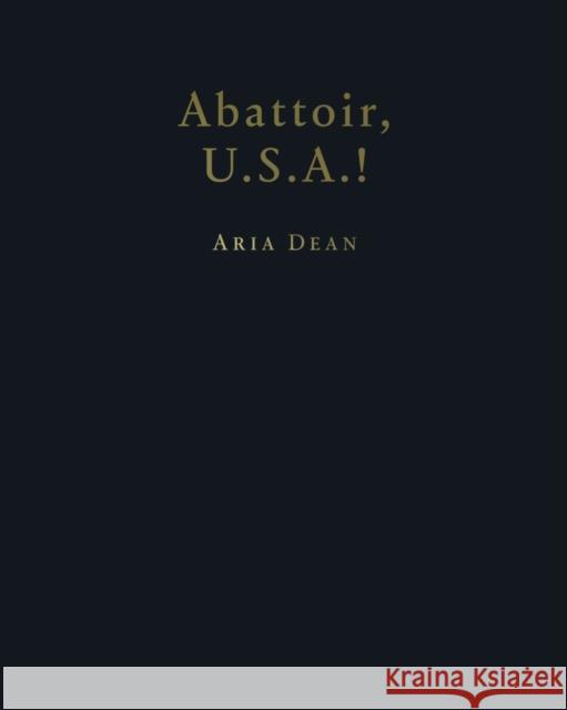 Aria Dean: Abattoir U.S.A.! Aria Dean Myriam Be Erika Balsom 9780941548908 Renaissance Society at the University of Chic - książka
