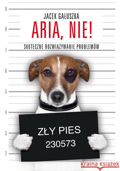 Aria, nie! Skuteczne rozwiązywanie problemów Gałuszka Jacek 9788375792744 Galaktyka - książka