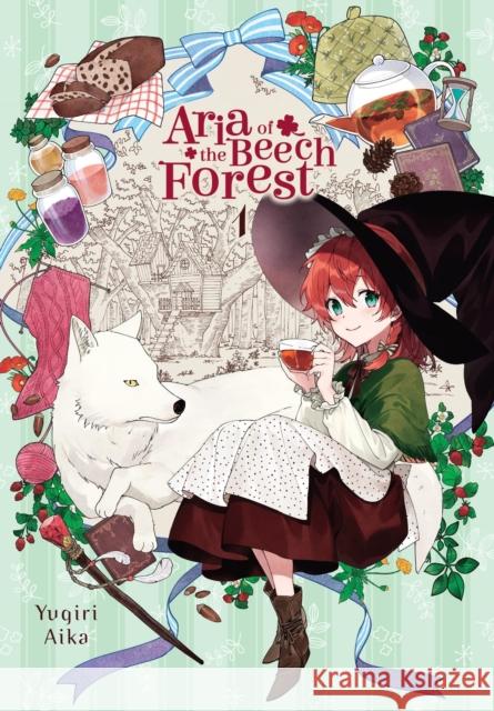 Aria of the Beech Forest, Vol. 1 Yumi Tanaka 9781975380144 Little, Brown & Company - książka