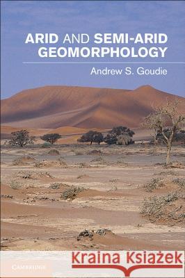 Arid and Semi-Arid Geomorphology Andrew Goudie 9781107005549  - książka