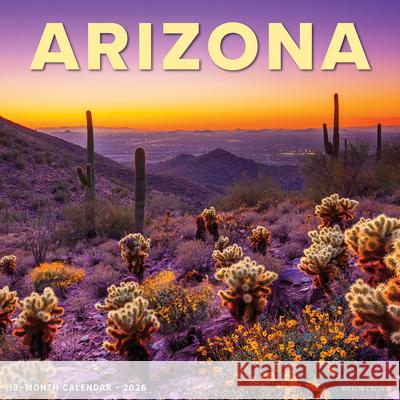 Arizona 2026 Wall Calendar Willow Creek Press 9781549249907 Wlcp - książka