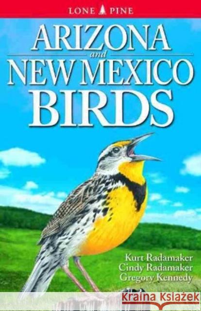 Arizona and New Mexico Birds Kurt Radamaker, Cindy Radamaker, Gregory Kennedy 9789768200280 Lone Pine Publishing International Inc. - książka