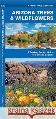 Arizona Trees & Wildflowers: A Folding Pocket Guide to Familiar Plants Kavanagh, James 9781583551882 Waterford Press - książka