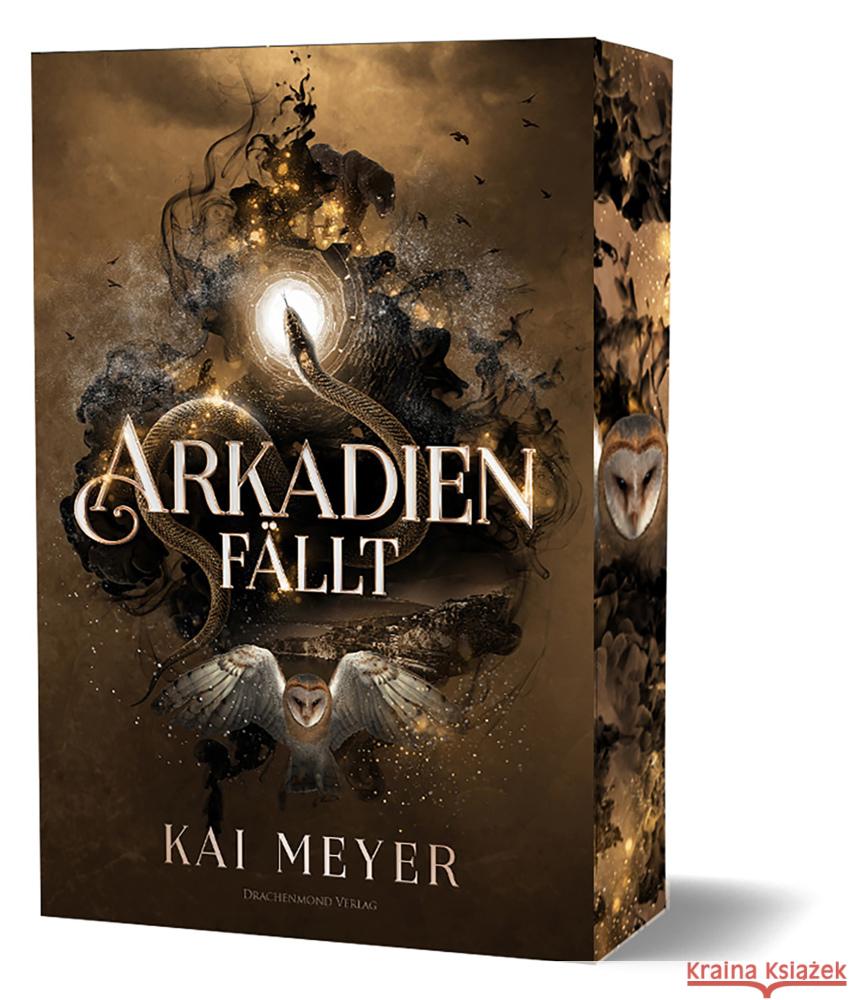 Arkadien fällt Meyer, Kai 9783959918077 Drachenmond Verlag - książka