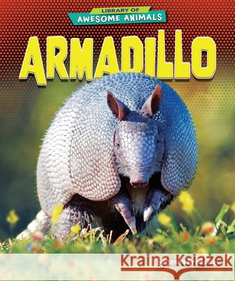 Armadillo Jenna Grodzicki 9781636911458 Bearport Books - książka