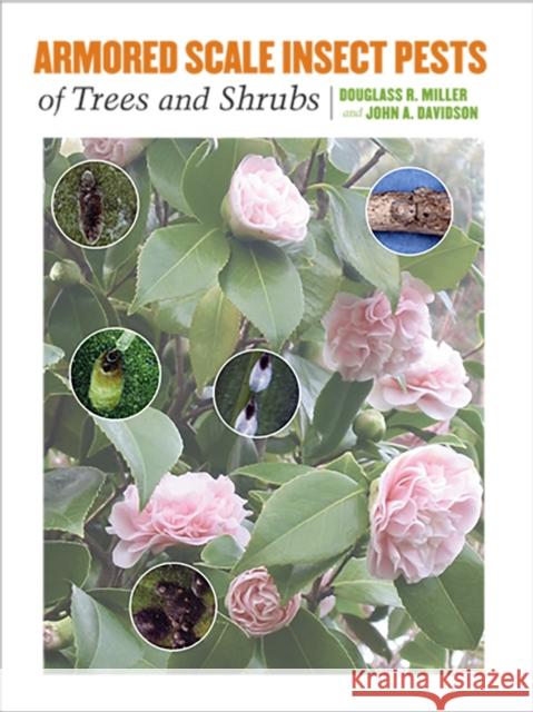 Armored Scale Insect Pests of Trees and Shrubs (Hemiptera: Diaspididae) Douglass R. Miller John A. Davidson 9780801442797 Cornell University Press - książka