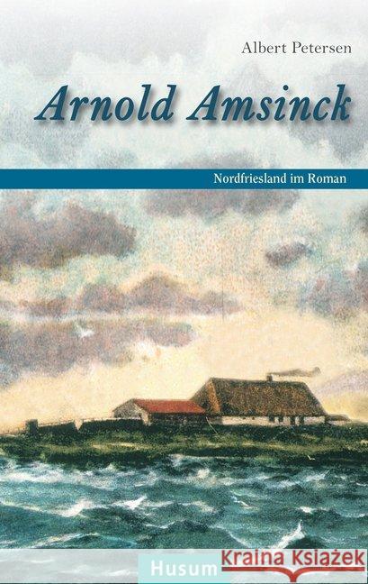 Arnold Amsinck : Nordfriesland im Roman Petersen, Albert 9783898767941 Husum - książka