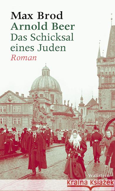 Arnold Beer : Das Schicksal eines Juden. Roman Brod, Max 9783835312685 Wallstein - książka