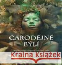 Čarodějné býlí Cecilia Lattari 9788027743698 Via - książka