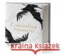 Čarodějné znamení Den Patrick 9788075850782 King Cool - książka