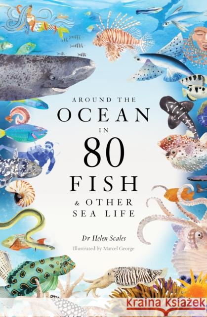 Around the Ocean in 80 Fish and Other Sea Life Scales, Helen 9781399602785 Orion Publishing Co - książka