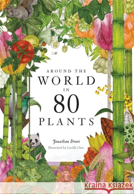 Around the World in 80 Plants Jonathan Drori Lucille Clerc 9781786272300 Orion Publishing Co - książka