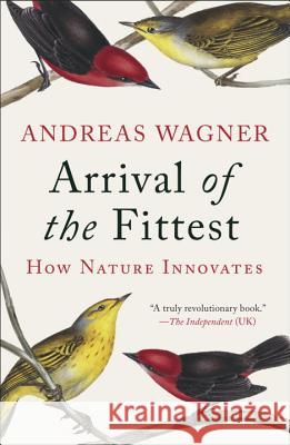 Arrival of the Fittest: How Nature Innovates Andreas Wagner 9781617230219 Current - książka