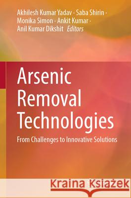 Arsenic Removal Technologies: From Challenges to Innovative Solutions Akhilesh Kumar Yadav Saba Shirin Monika Simon 9783031911705 Springer - książka