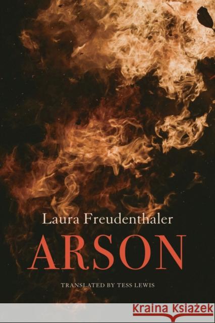 Arson Laura Freudenthaler 9781803095615 Seagull Books - książka
