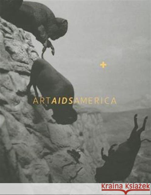 Art AIDS America Jonathan David Katz Rock Hushka 9780295994949 Tacoma Art Museum - książka