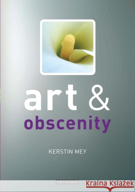 Art and Obscenity Kerstin Mey 9781845112356  - książka