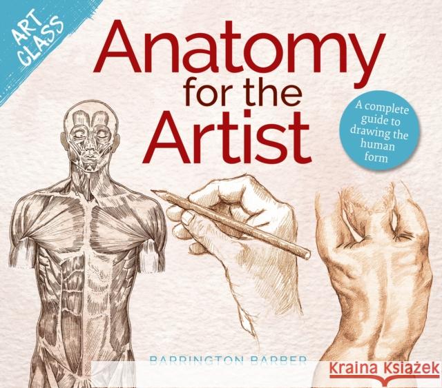 Art Class: Anatomy for the Artist: A complete guide to drawing the human form Barrington Barber 9781398840089 Arcturus Publishing Ltd - książka