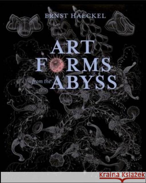 Art Forms from the Abyss: Ernst Haeckel's Images From The HMS Challenger Expedition David Thomas 9783791381411 Prestel - książka