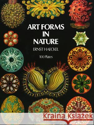 Art Forms in Nature Ernst Heinrich Philip Haeckel Haeckel 9780486229874 Dover Publications Inc. - książka