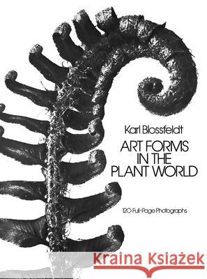 Art Forms in the Plant World Karl Blossfeldt 9780486249902 Dover Publications Inc. - książka