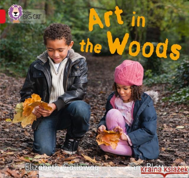 Art in the Woods: Band 02b/Red B Elizabeth Galloway 9780007512782 HarperCollins Publishers - książka