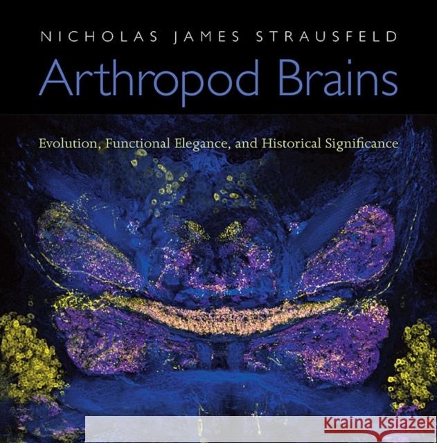 Arthropod Brains: Evolution, Functional Elegance, and Historical Significance Strausfeld, Nicholas James 9780674046337 Belknap Press - książka