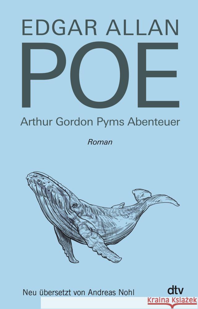 Arthur Gordon Pyms Abenteuer Poe, Edgar Allan 9783423290302 DTV - książka