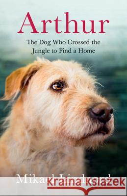 Arthur: The Dog Who Crossed the Jungle to Find a Home Mikael Lindnord 9781771644471 Greystone Books - książka