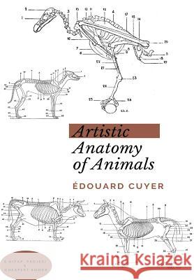 Artistic Anatomy of Animals Edouard Cuyer   9786057876713 E-Kitap Projesi & Cheapest Books - książka