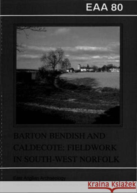Arton Bendish and Caldecote: Fieldwork in South West Norfolk Rogerson, Andrew 9780905594217 East Anglian Archaeology - książka