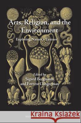 Arts, Religion, and the Environment: Exploring Nature's Texture Sigurd Bergmann, Forrest J. Clingerman 9789004355354 Brill - książka