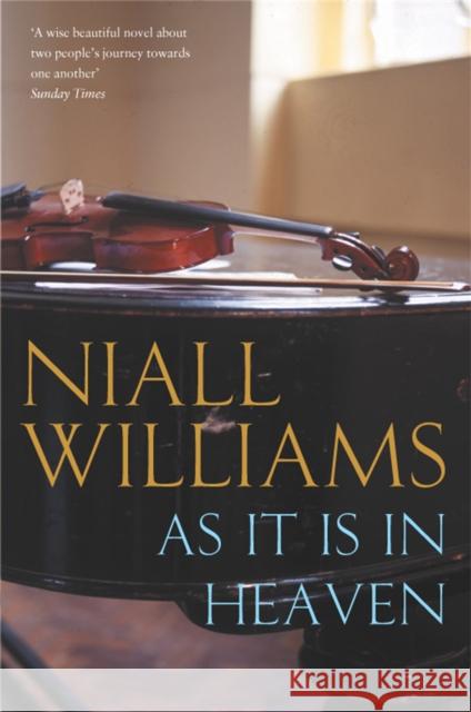 As It Is in Heaven Niall Williams 9780330375313  - książka