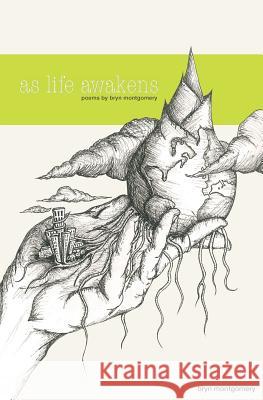 as life awakens Esseveld, Nelson 9781481160438 Createspace - książka