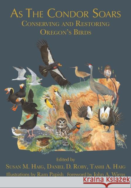 As the Condor Soars: Conserving and Restoring Oregon's Birds Susan M. Haig Daniel D. Roby Tashi A. Haig 9780870712166 Oregon State University Press - książka
