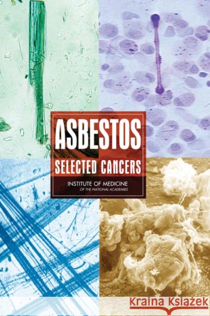 Asbestos: Selected Cancers Institute of Medicine 9780309101691 National Academy Press - książka