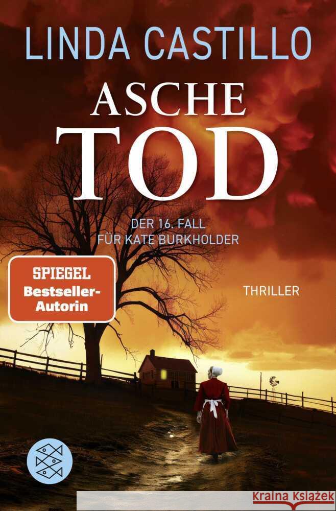 Aschetod Castillo, Linda 9783596709847 FISCHER Taschenbuch - książka