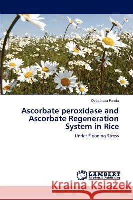 Ascorbate Peroxidase and Ascorbate Regeneration System in Rice Debabrata Panda   9783847318651 LAP Lambert Academic Publishing AG & Co KG - książka