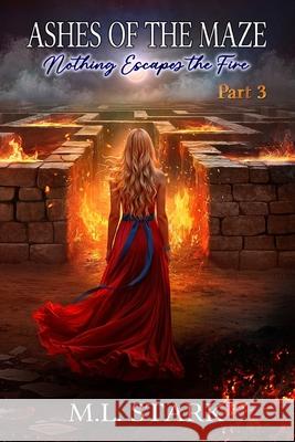 Ashes of the Maze: Nothing Escapes the Fire M. L. Stark 9781919396514 Stark & Flame - książka
