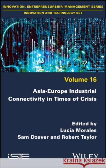 Asia-Europe Industrial Connectivity in Times of Crisis Sam Dzever Morales                                  Robert Taylor 9781786308627 Wiley-Iste - książka
