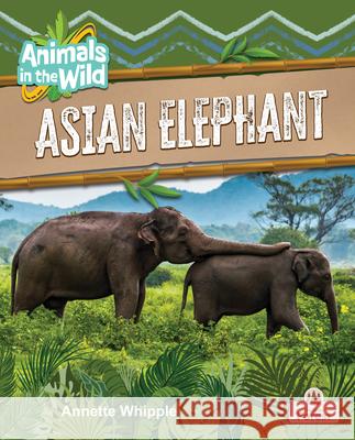 Asian Elephant Annette Whipple 9781039874794 Crabtree Forest - książka