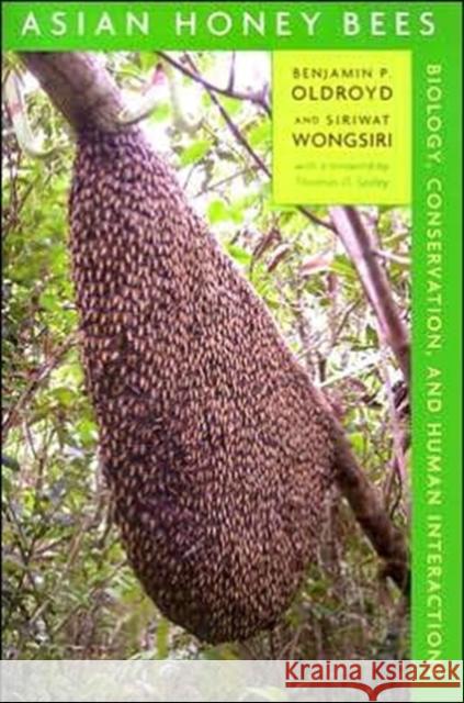 Asian Honey Bees: Biology, Conservation, and Human Interactions Oldroyd, Benjamin P. 9780674021945 Harvard University Press - książka