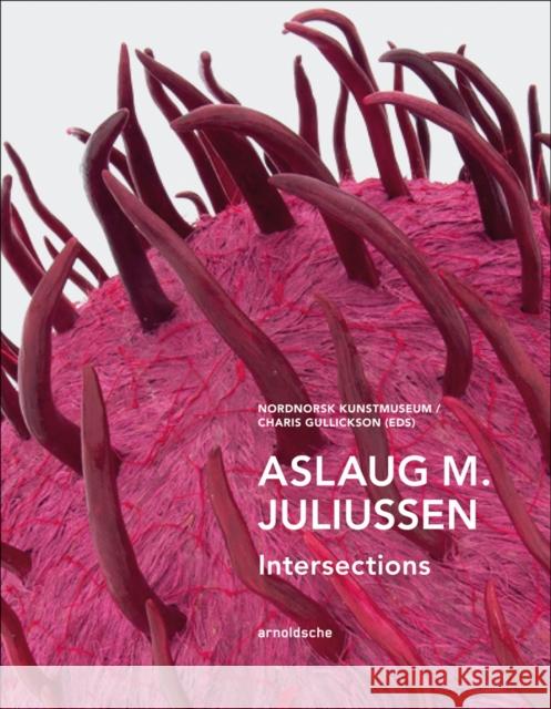 Aslaug M. Juliussen: Intersections Gullicksontromso, Charis 9783897905313 Arnoldsche Verlagsanstalt GmbH - książka